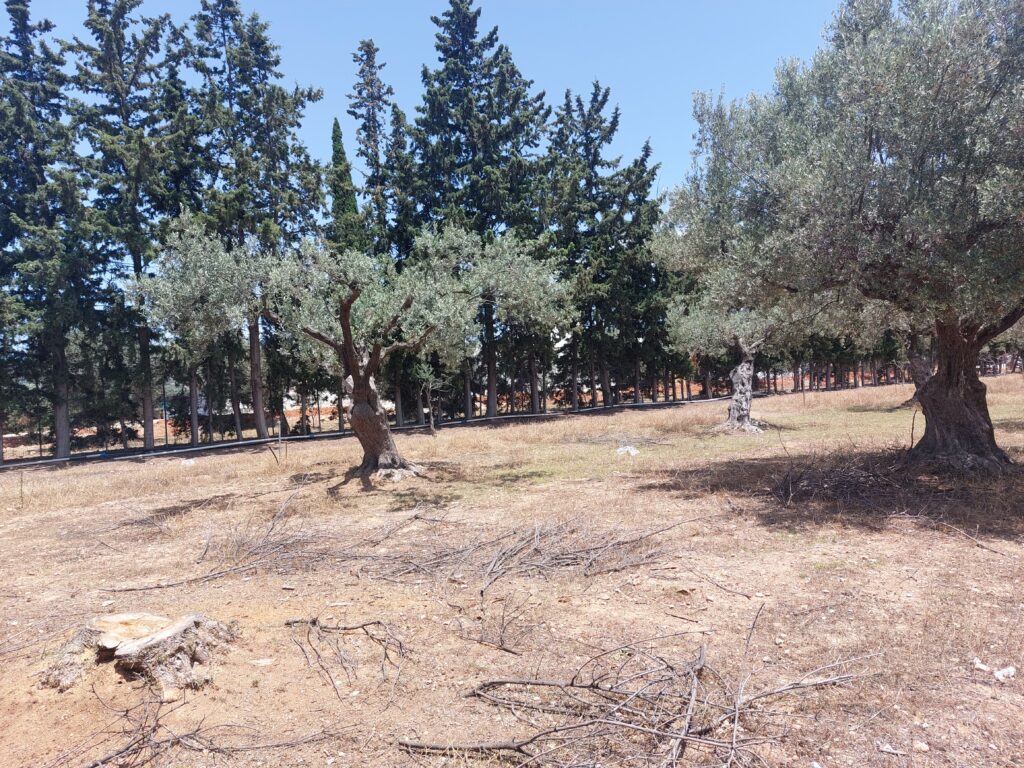 DATA CENTER, ΠΑΙΑΝΙΑ