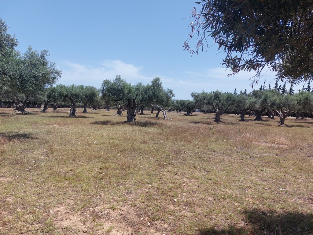 DATA CENTER, ΠΑΙΑΝΙΑ