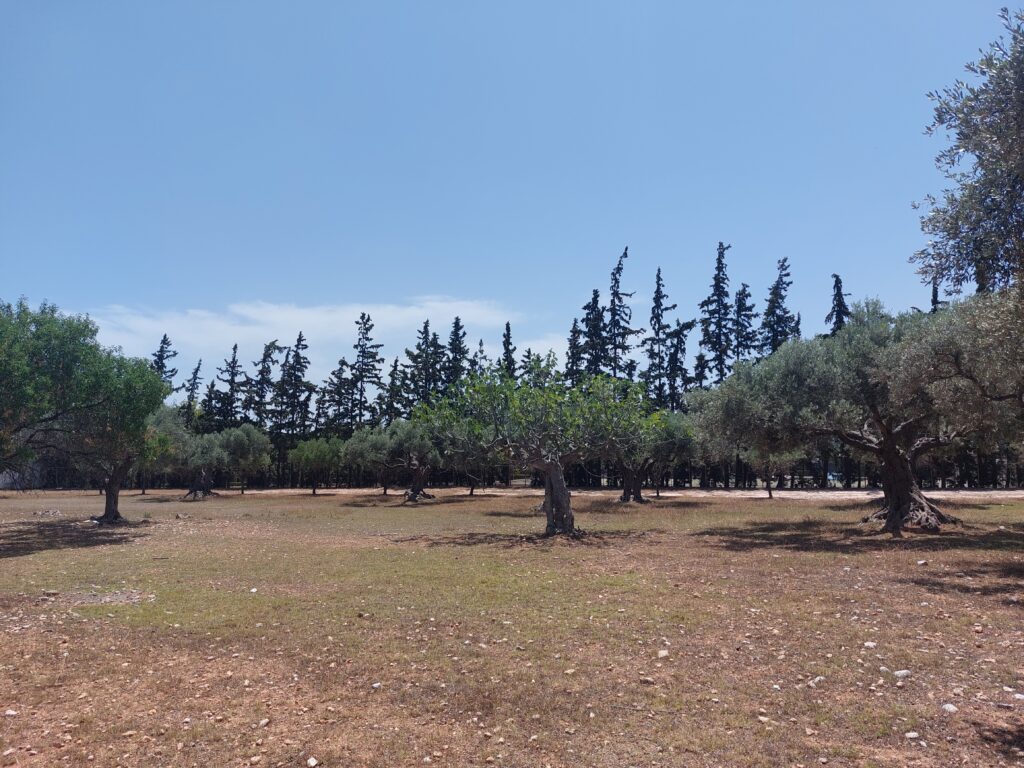 DATA CENTER, ΠΑΙΑΝΙΑ